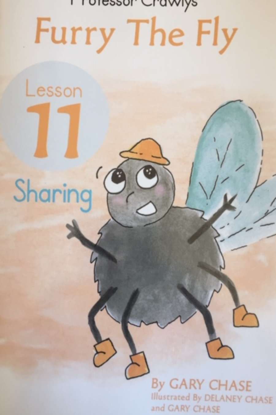 Main Image Supporting the Content of Furry the Fly Lesson 11: Sharing